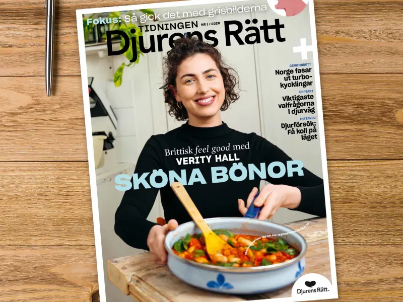 Tidningen Djurens Rätt. Nummer 1 2026.