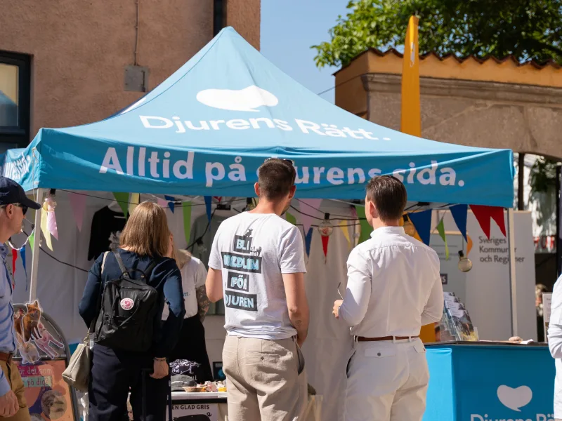 Djurens Rätt i Almedalen 2025. © Linn Kristensen