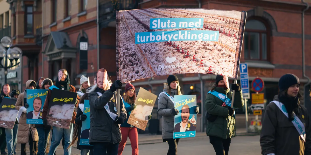 Protest mot Lidl i Göteborg 15 februari 2025