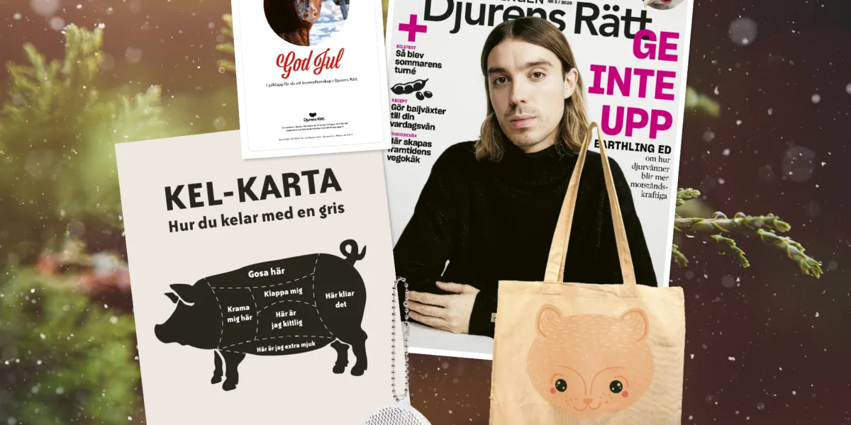 Ge bort medlemskap
