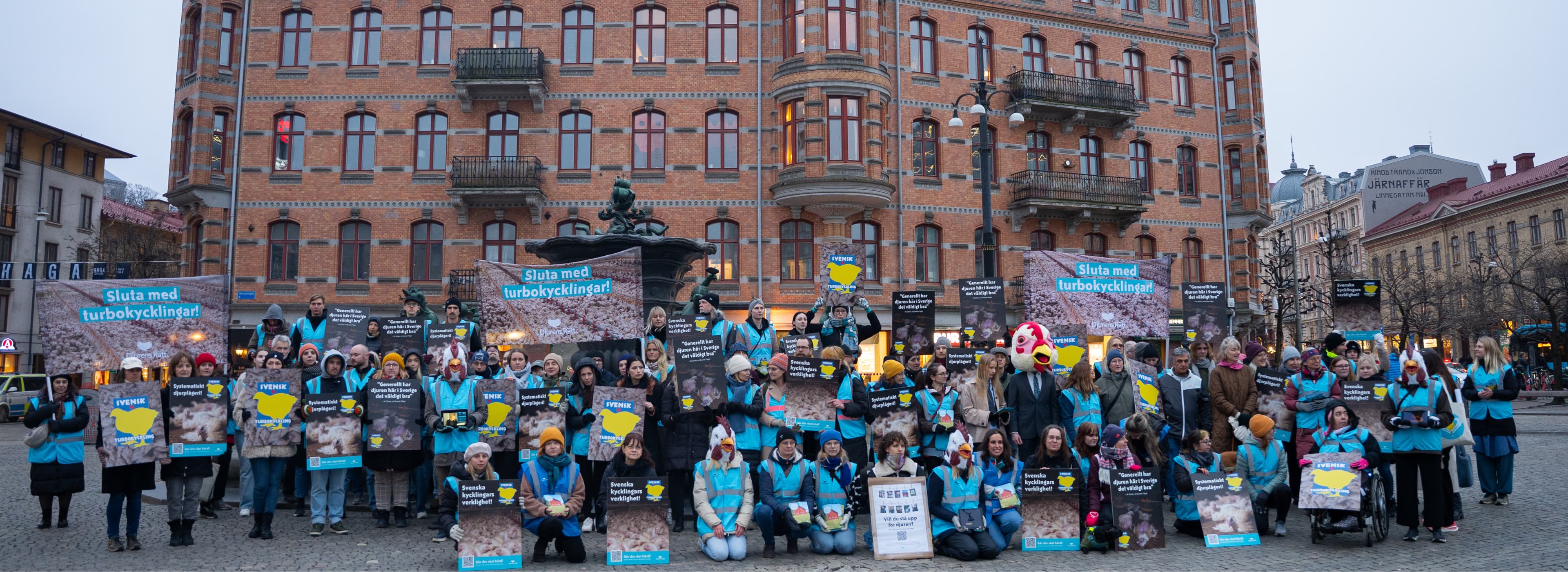Bild från när Djurens Rätt anordnade en protest på Järntorget i Göteborg för att uppmärksamma lidandet i den svenska kycklingindustrin.