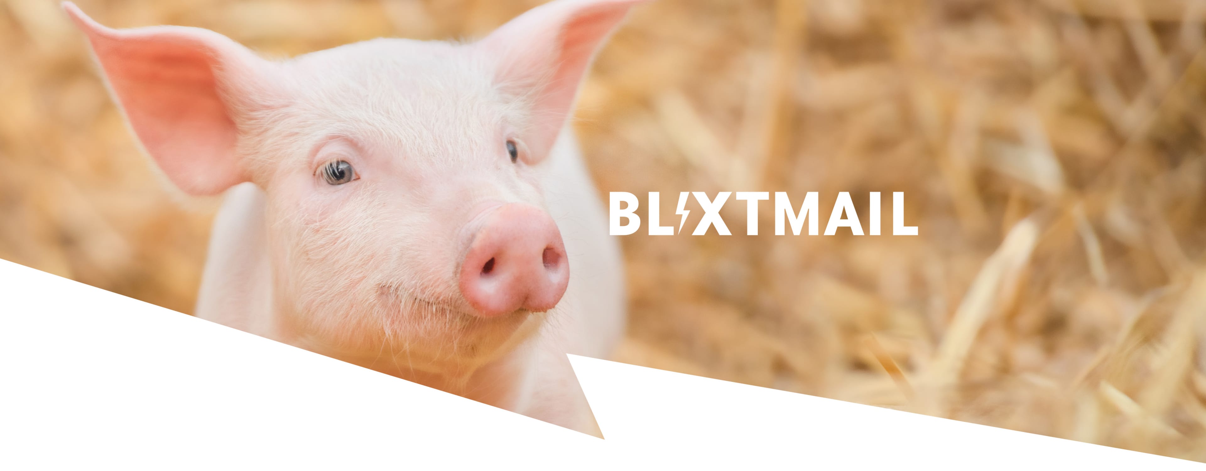 En rosa kulting i halm med texten "BLIXTMAIL" i vit stilren font.