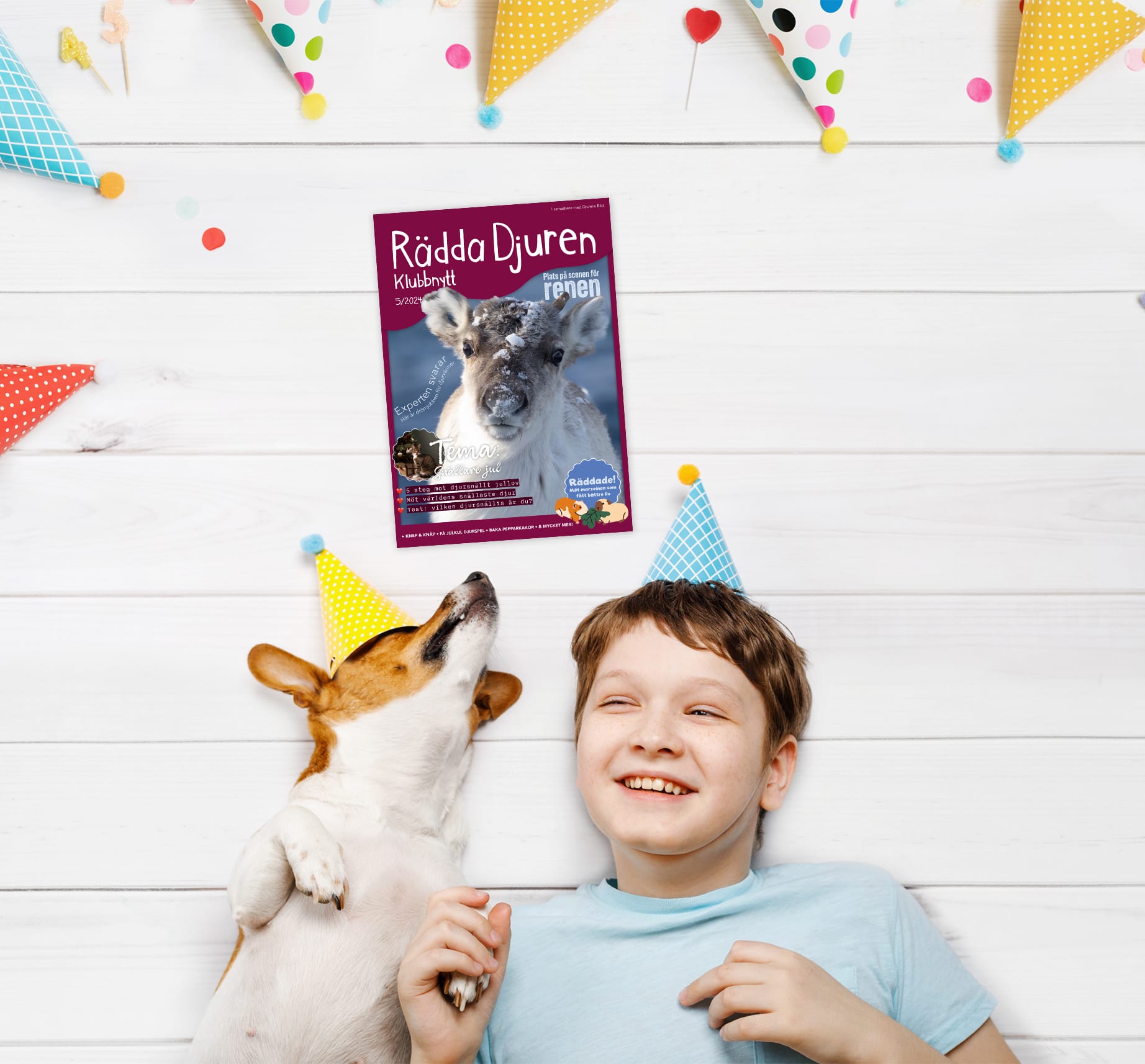 Bli medlem i Rädda Djuren-klubben och ta del av vår klubbtidning Klubbnytt