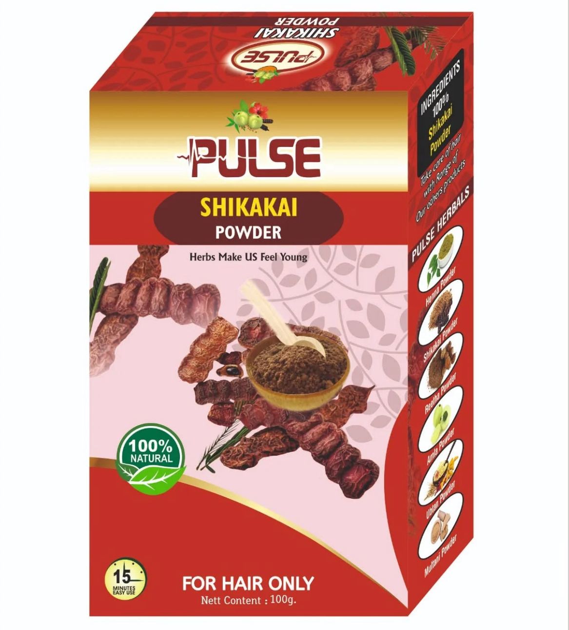 Festival Mehendi Kit