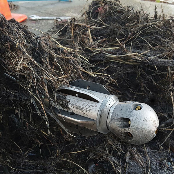 Warthog sewer nozzle cutting a mass of roots