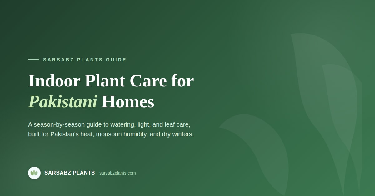 The Complete Indoor Plant Care Guide for Pakistani Homes