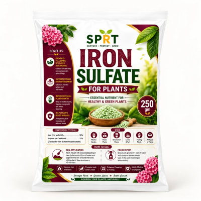 SPRT Iron Sulfate for Plants 250g – Iron Fertilizer — Home & Garden Care
