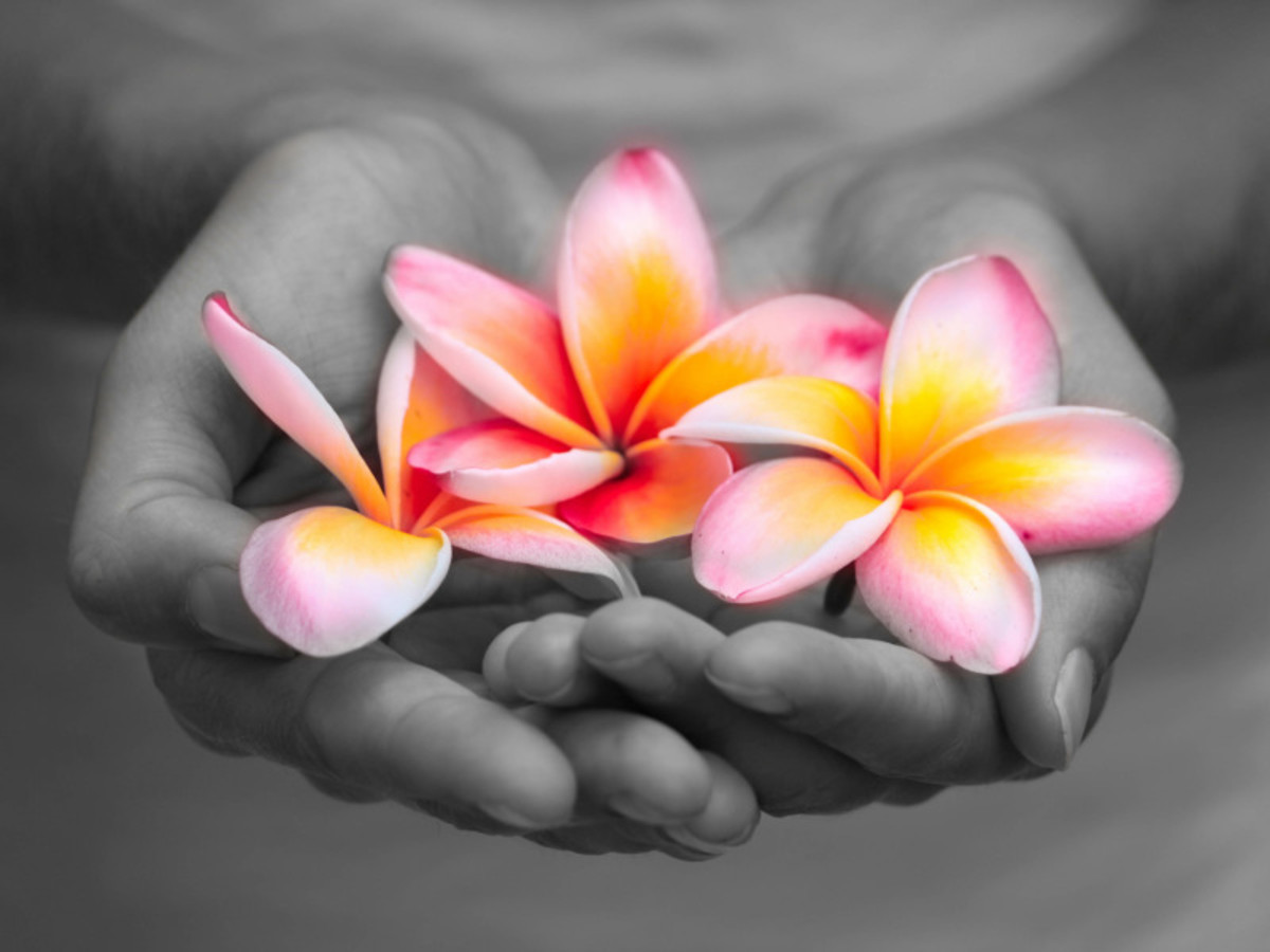 Circuit Tropicale Bali - 12