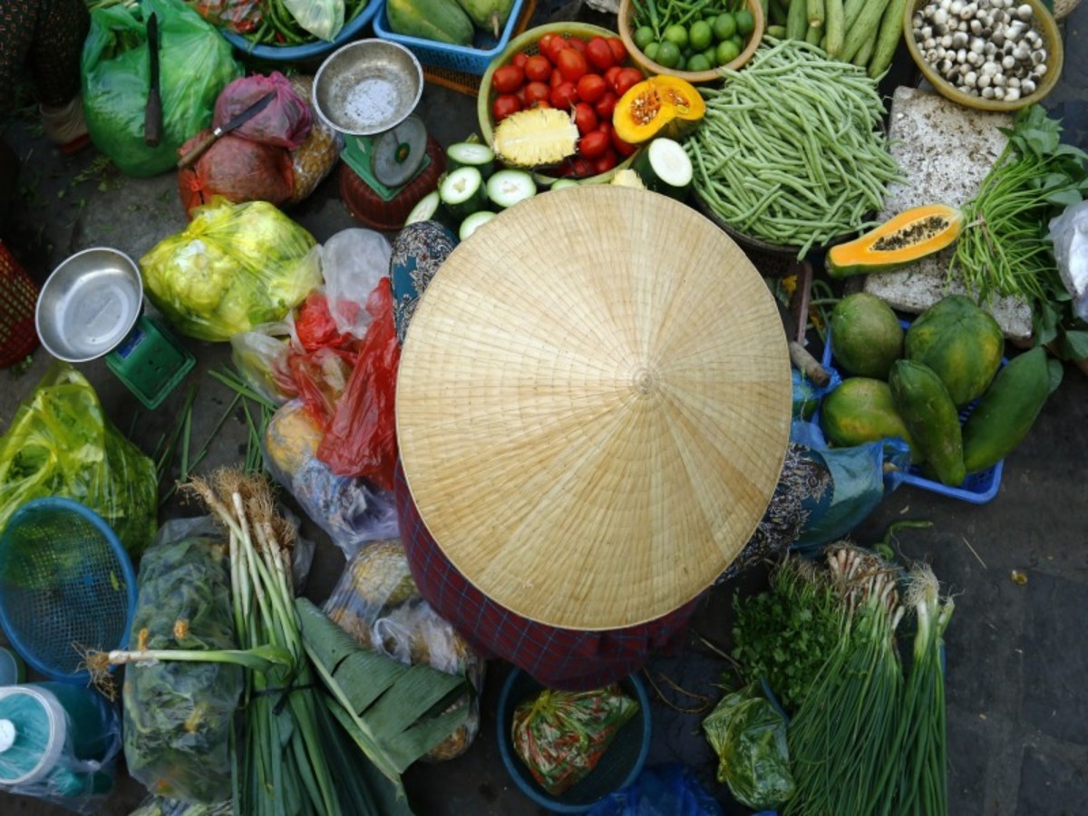 Immersion au Vietnam - 6