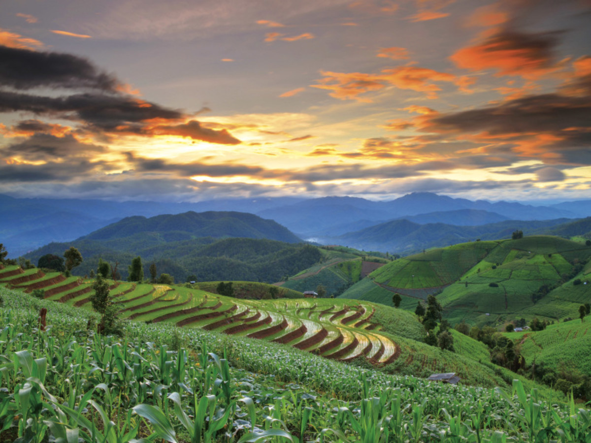 Immersion en Thaïlande - 7