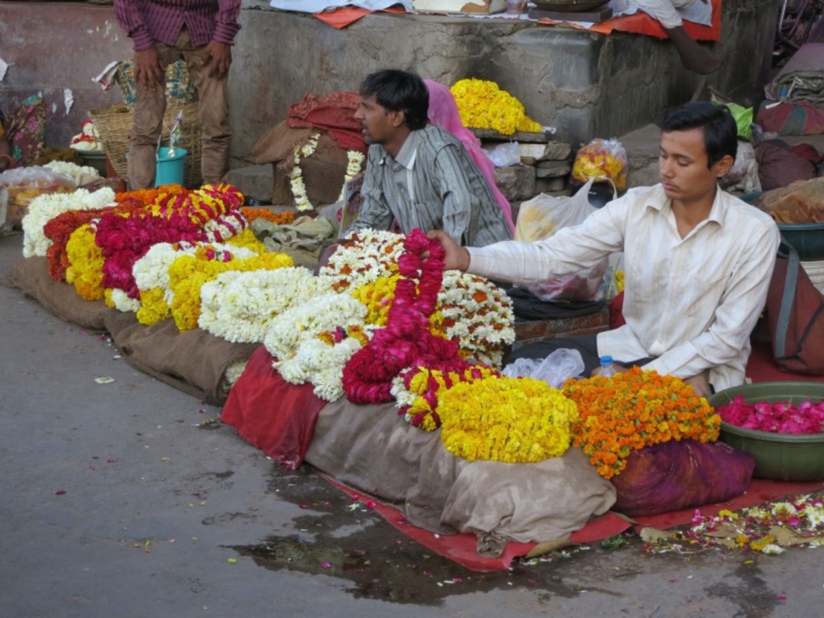 Circuit des Cités Sacrées aux Lagunes de Kerala - 6