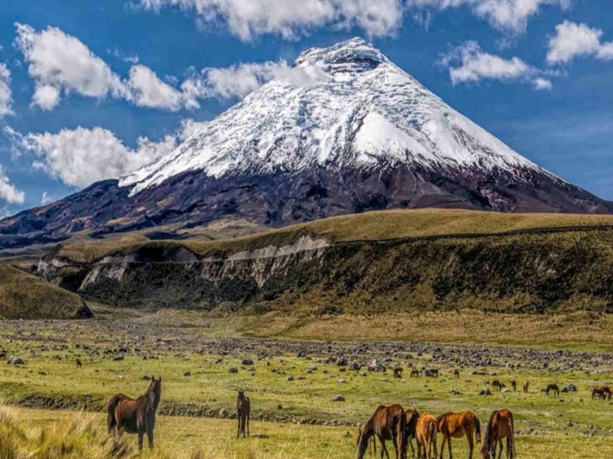 Circuit Xpérience Equateur - Amazonie Proche et Galapagos - 7