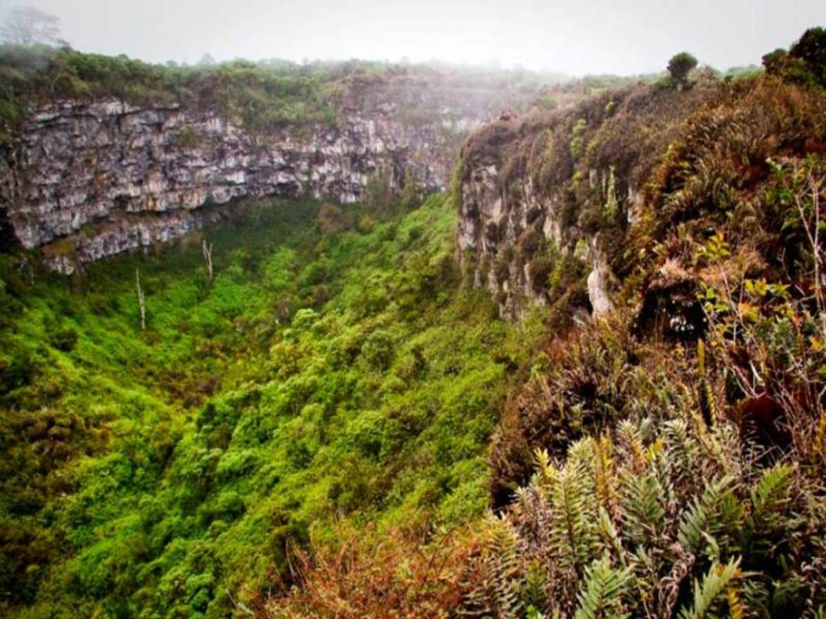 Circuit privé Xperience Equateur - Amazonie Profonde et Galapagos - 13