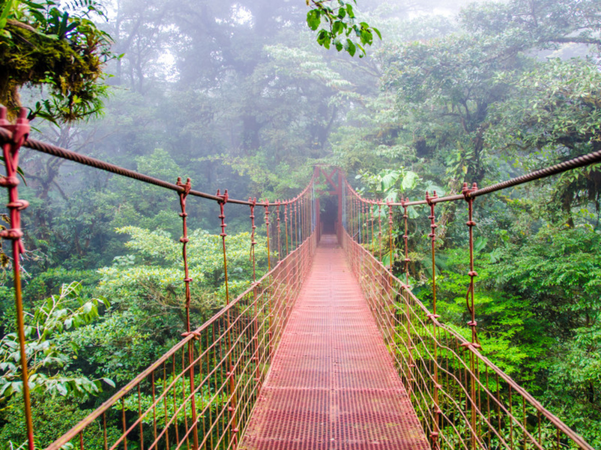Balade en liberté - Merveilles essentielles du Costa Rica - 6