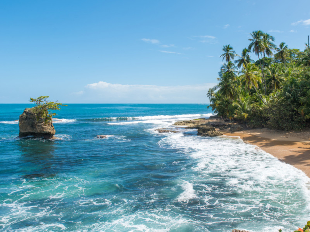 Balade en liberté - Trésors des Caraïbes et joyaux de la forêt tropicale - 6
