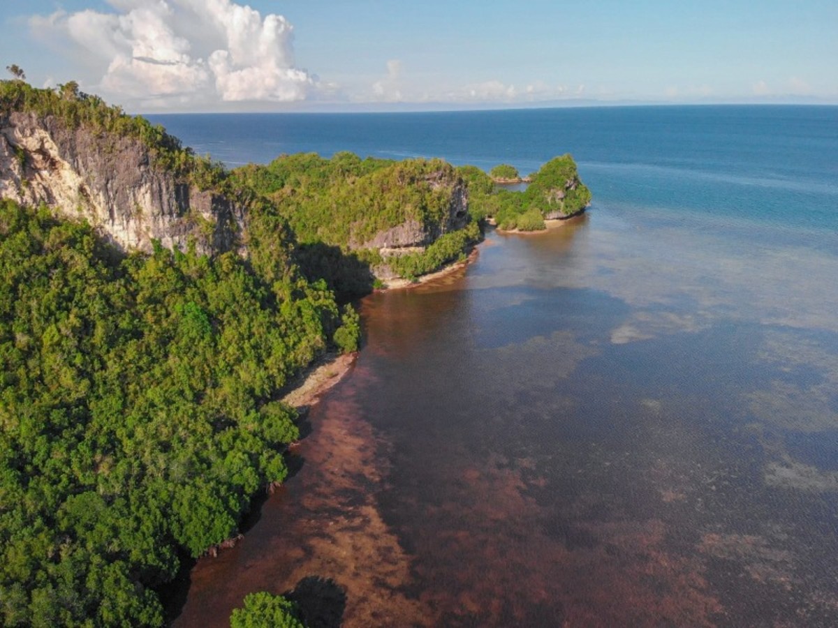 Immersion aux Philippines - 8