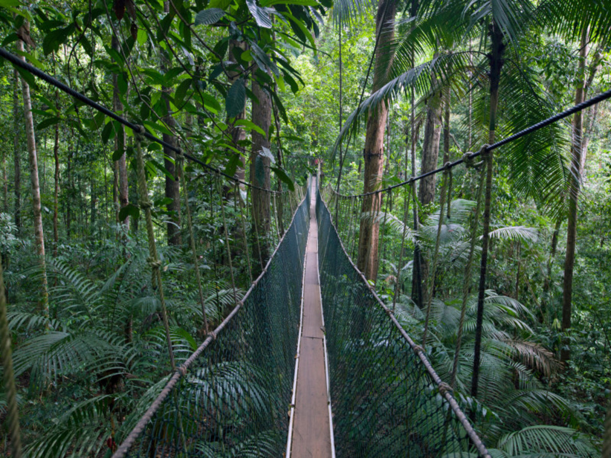 Circuit Trio Evasion Malaisienne et extension 3, 5 ou 8 nuits à Tioman - 3