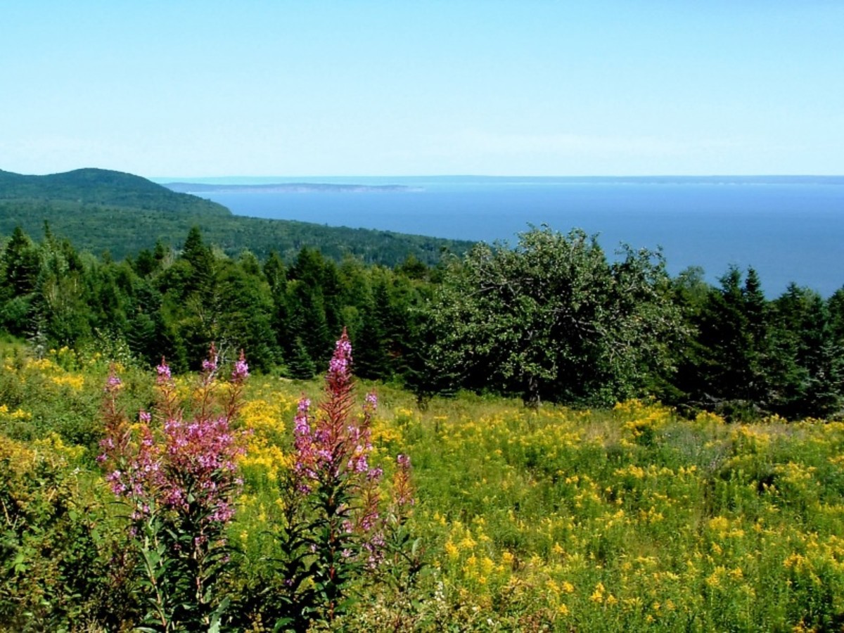 Le Grand Tour De L'est Canadien - 10