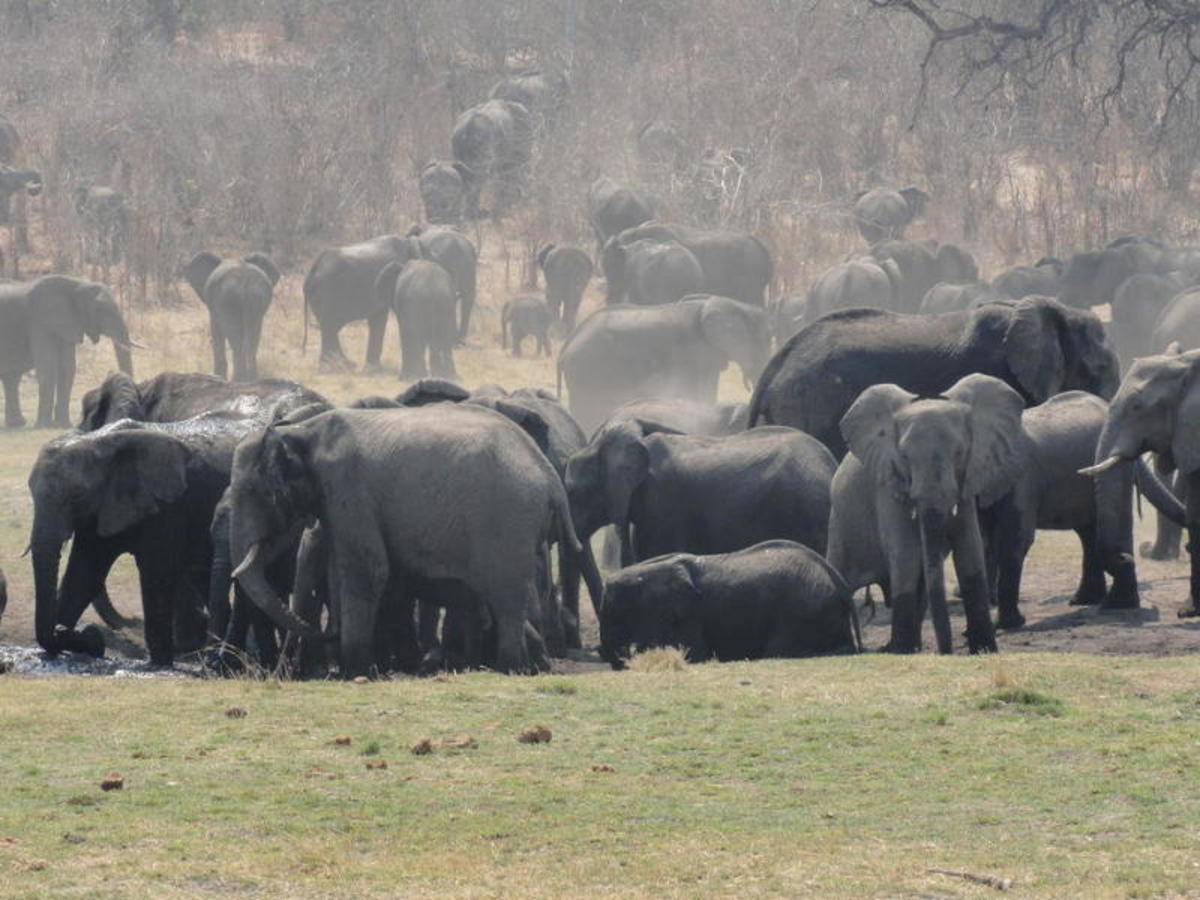 Parcours Namibien 2026 - 2