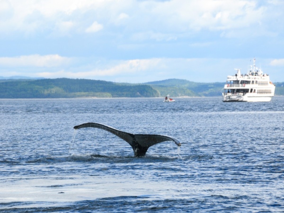 Les Charmes du St Laurent - 7