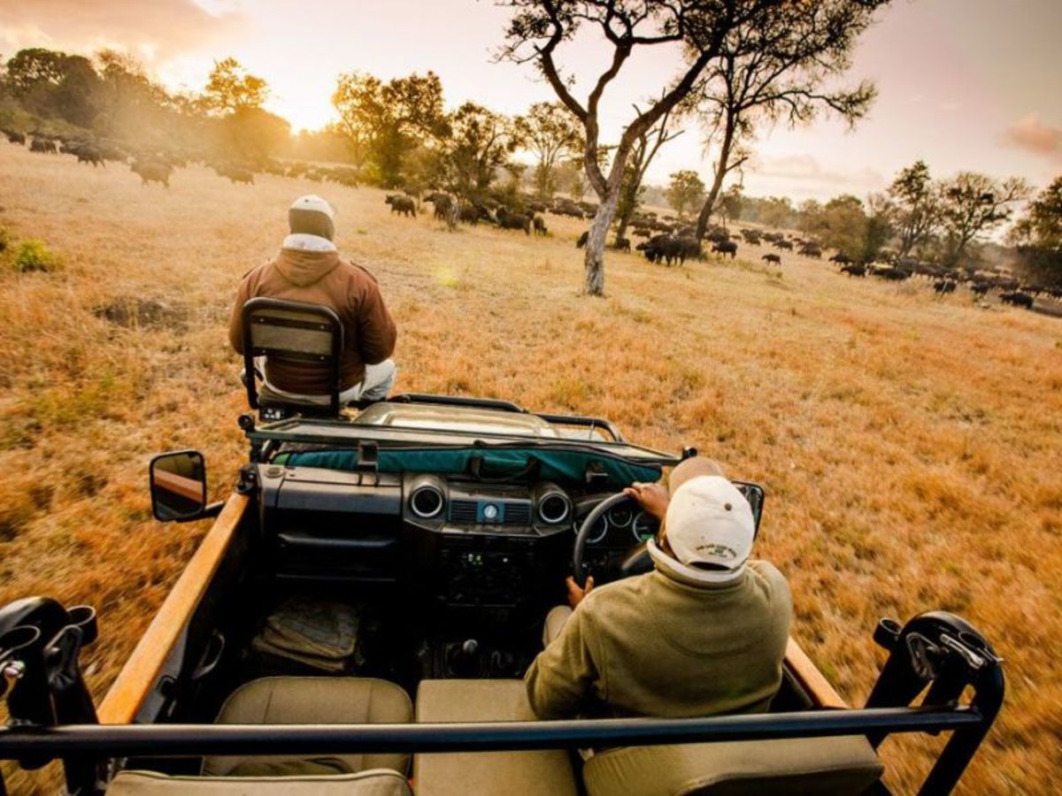 Patchwork Sud Africain 2026 - 12