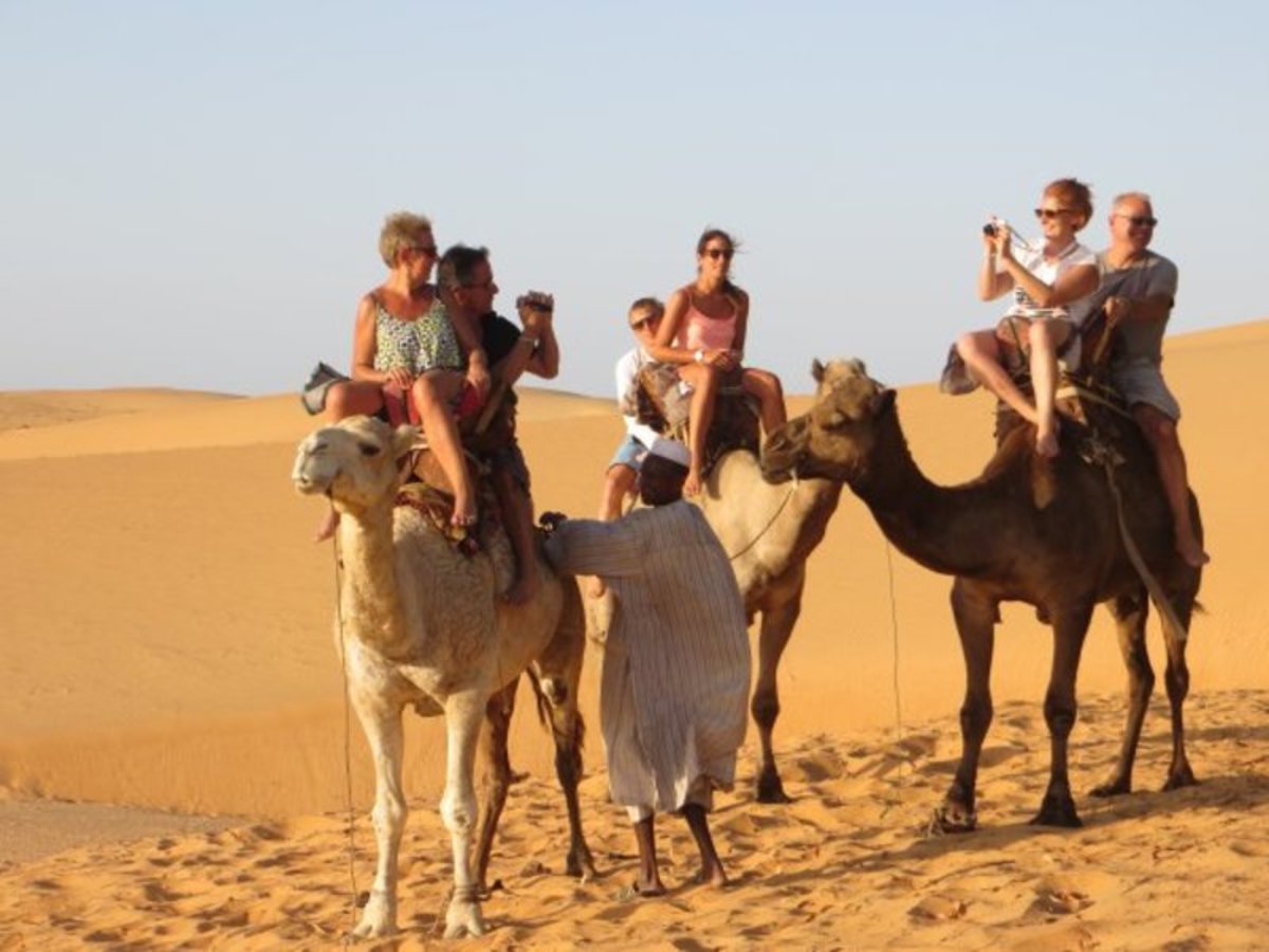 Aventures En Famille Au Sénégal - 3