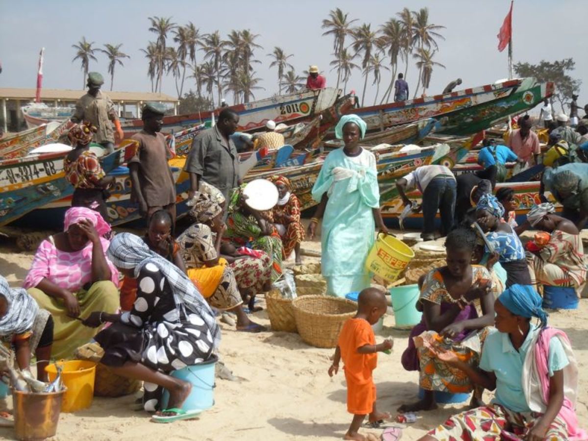 Découverte du Senegal - 3