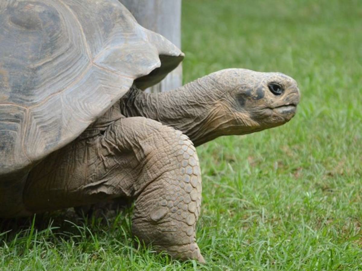 Circuit Xpérience Equateur - Amazonie Proche et Galapagos - 15