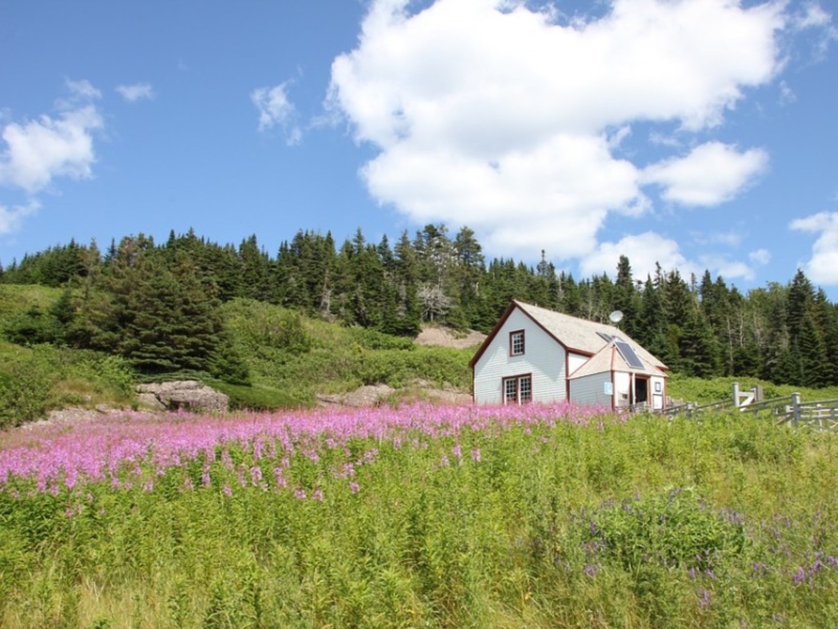Escapade dans l'Est Canadien - 9