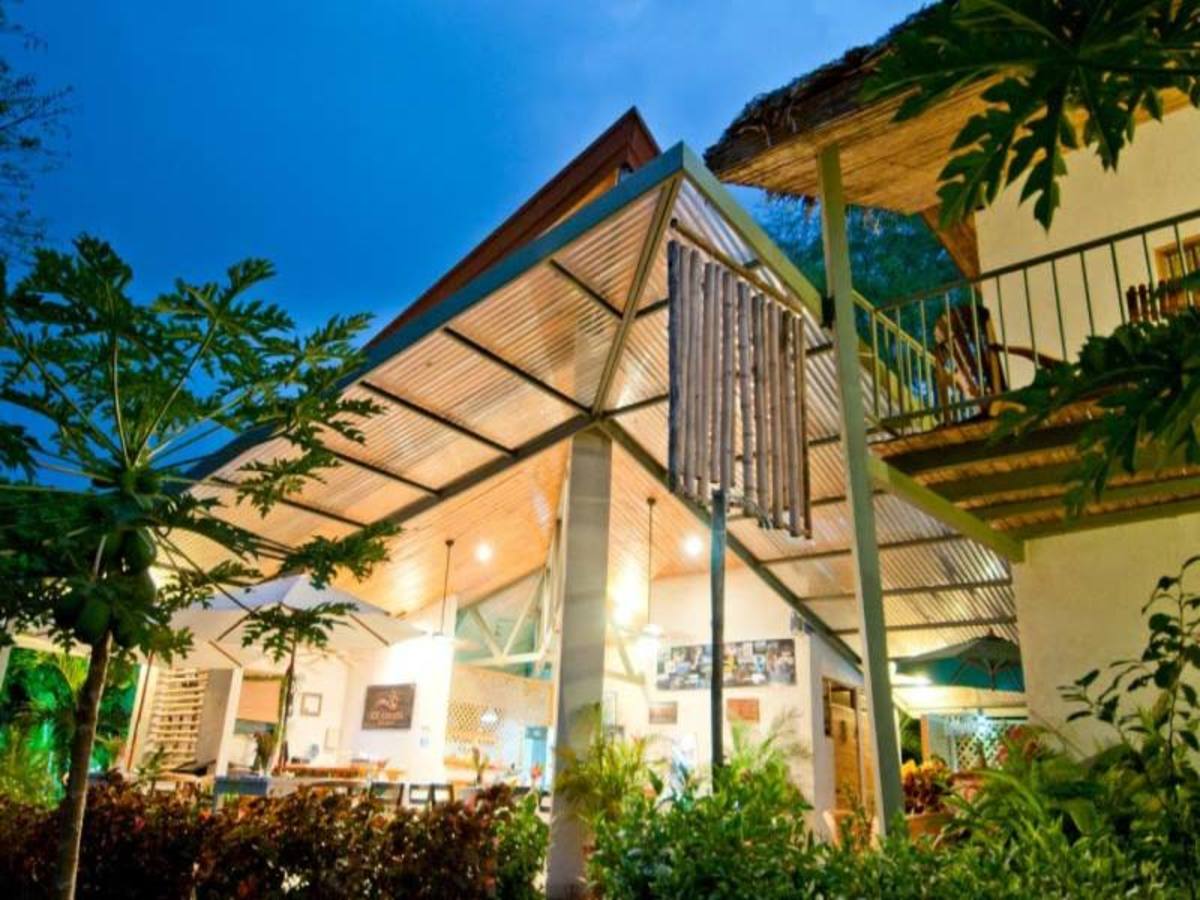 Balade en liberté - Forêt tropicale et plage ensoleillée - 6