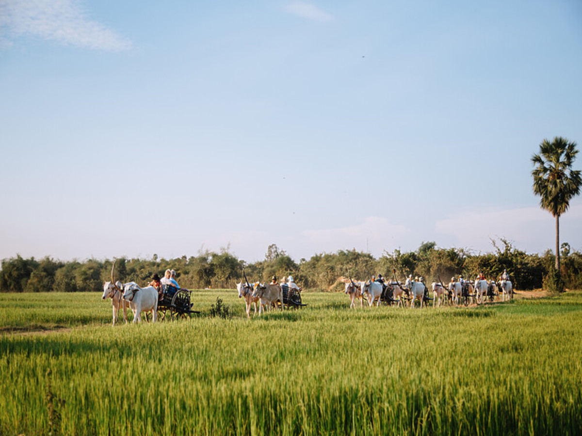 O1. Vietnam à la folie & Angkor/ vols domestiques inclus - 13