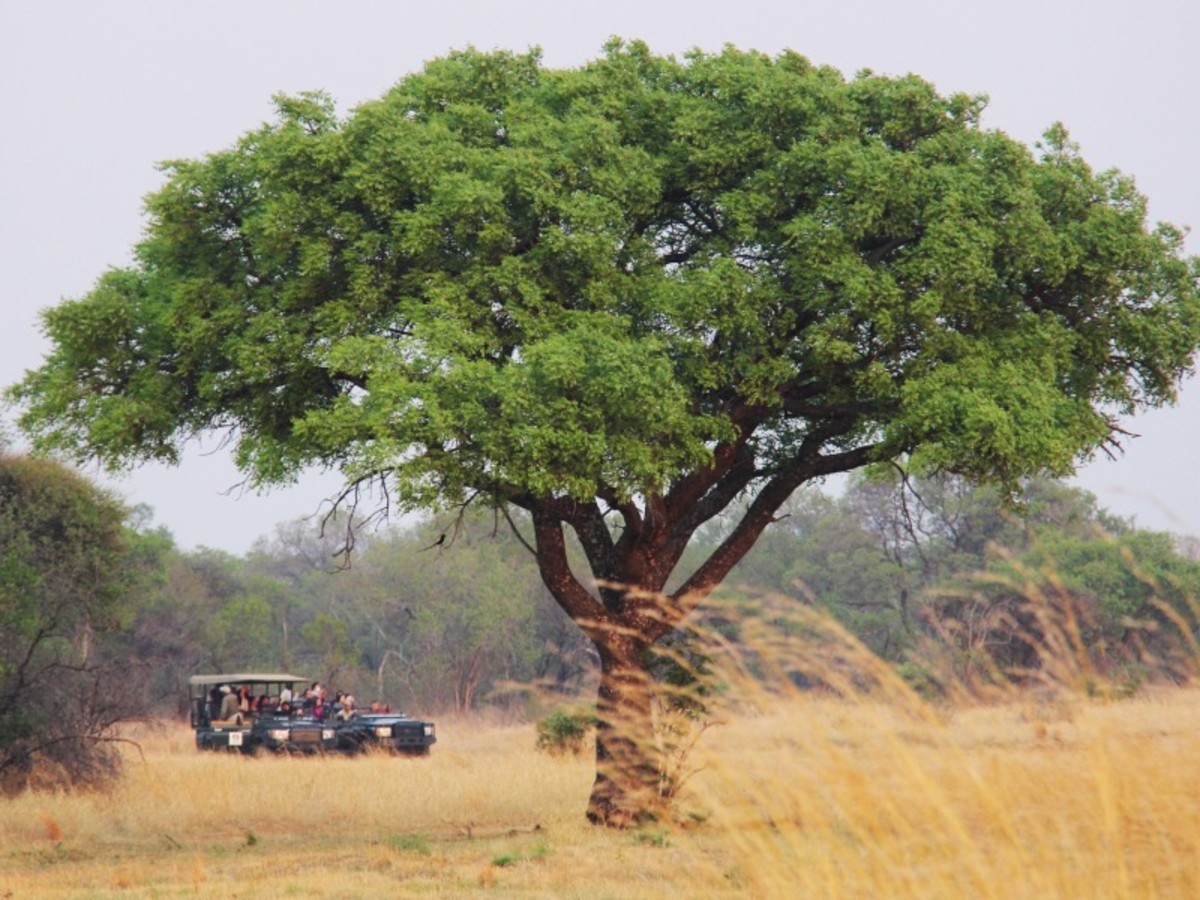 Découverte Afrique Du Sud Et Victoria Falls 2026 - 6