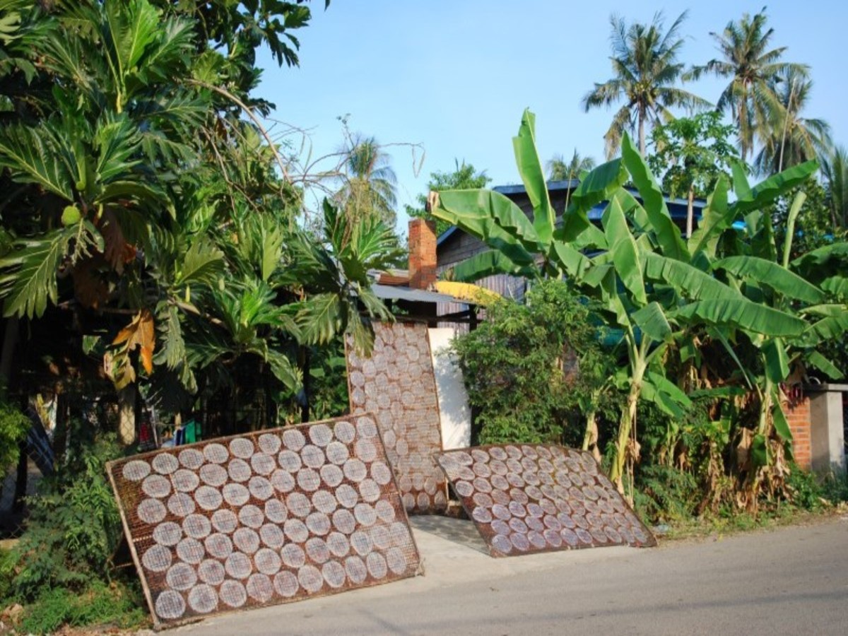 O1. Cambodge à la folie - 9