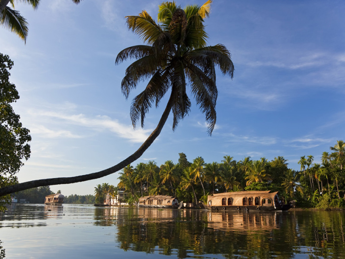 Circuit des Cités Sacrées aux Lagunes de Kerala - 8