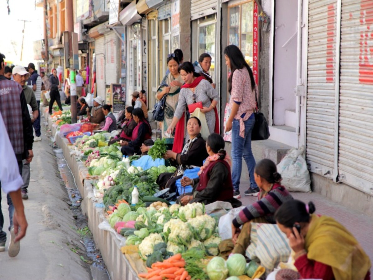 Immersion au Ladakh - 11