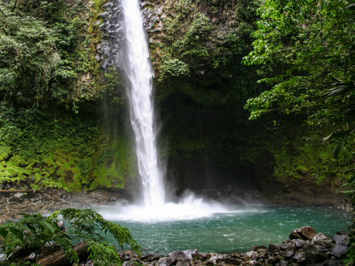 Balade en liberté - Merveilles essentielles du Costa Rica - 5