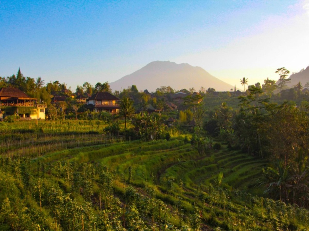 Immersion à Bali en famille - 8