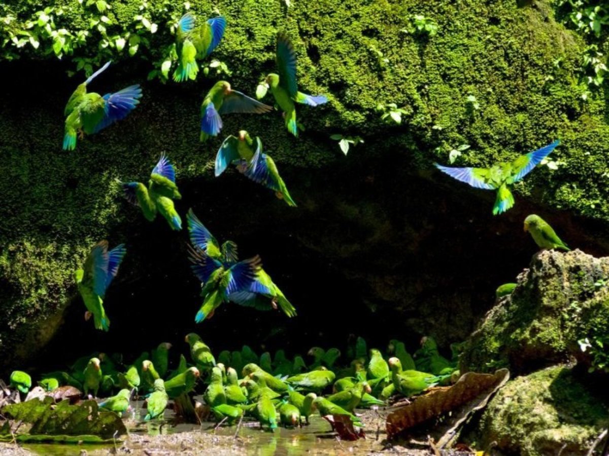 L'Equateur en immersion - 10