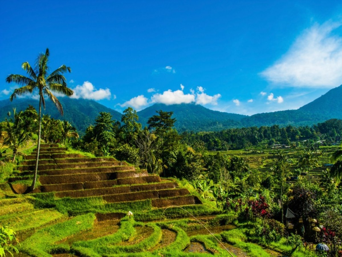 Immersion à Bali en famille - 5