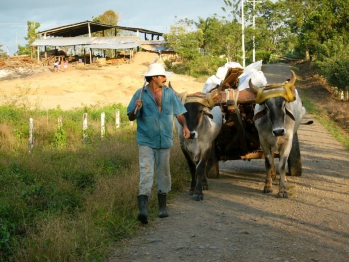 Circuit Découverte du Costa Rica - Parc naturel Rincon de la Vieja et plage de Tamarindo - 3