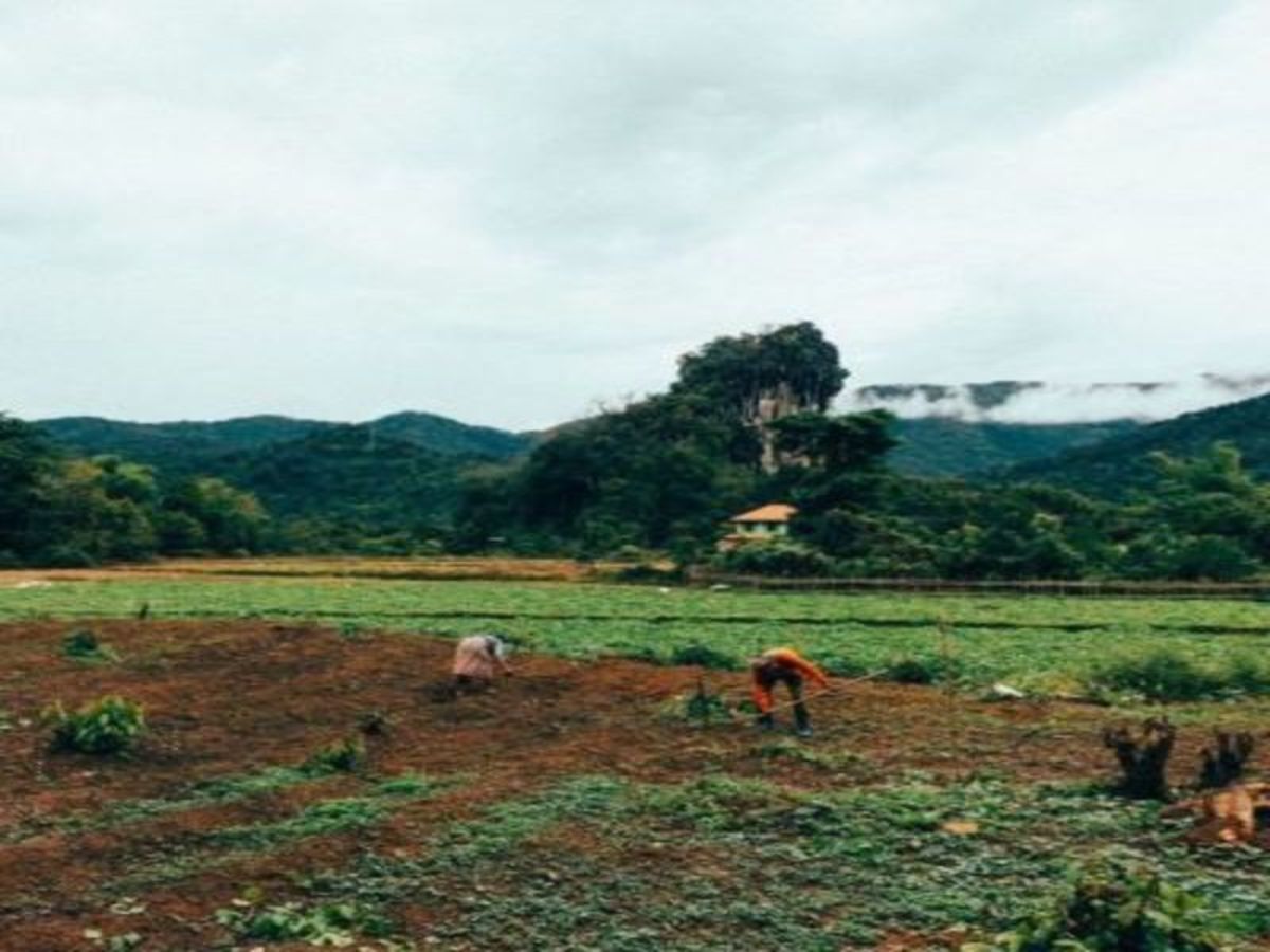 Immersion au coeur du Laos - 6