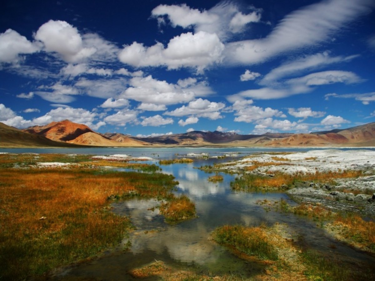 Immersion au Ladakh - 8