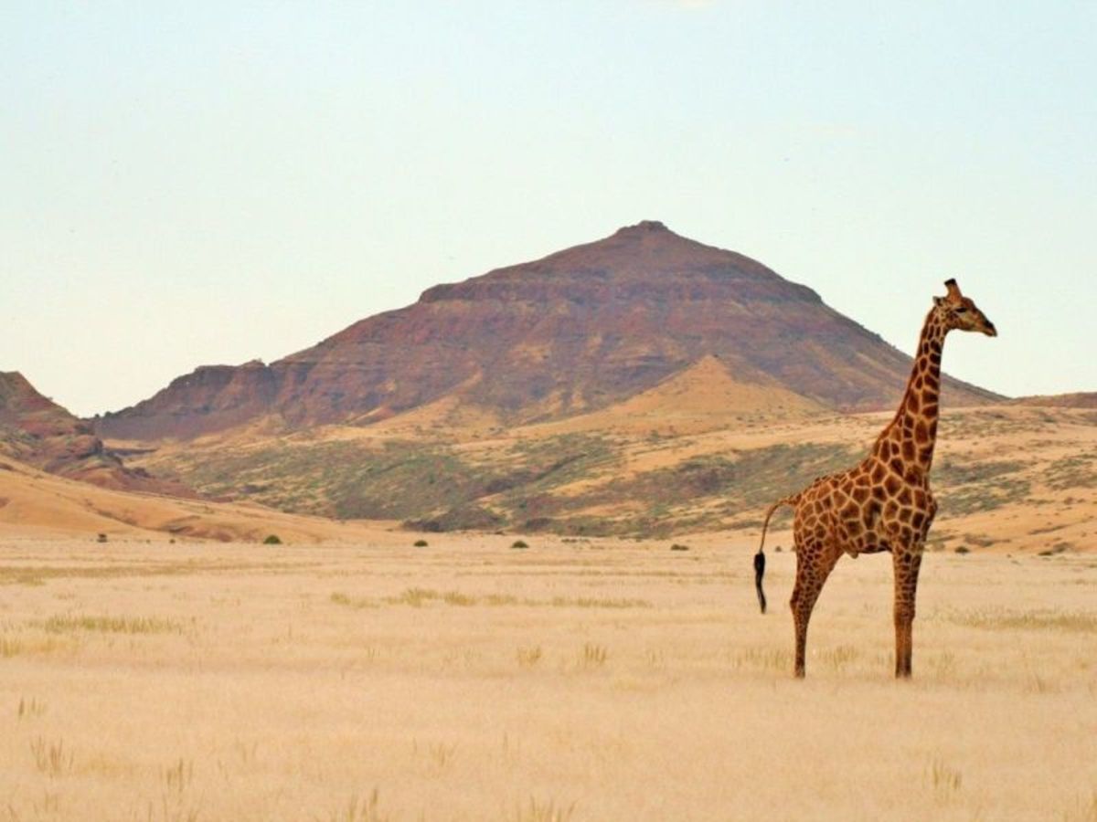 Grand Tour De Namibie 2026 - 11