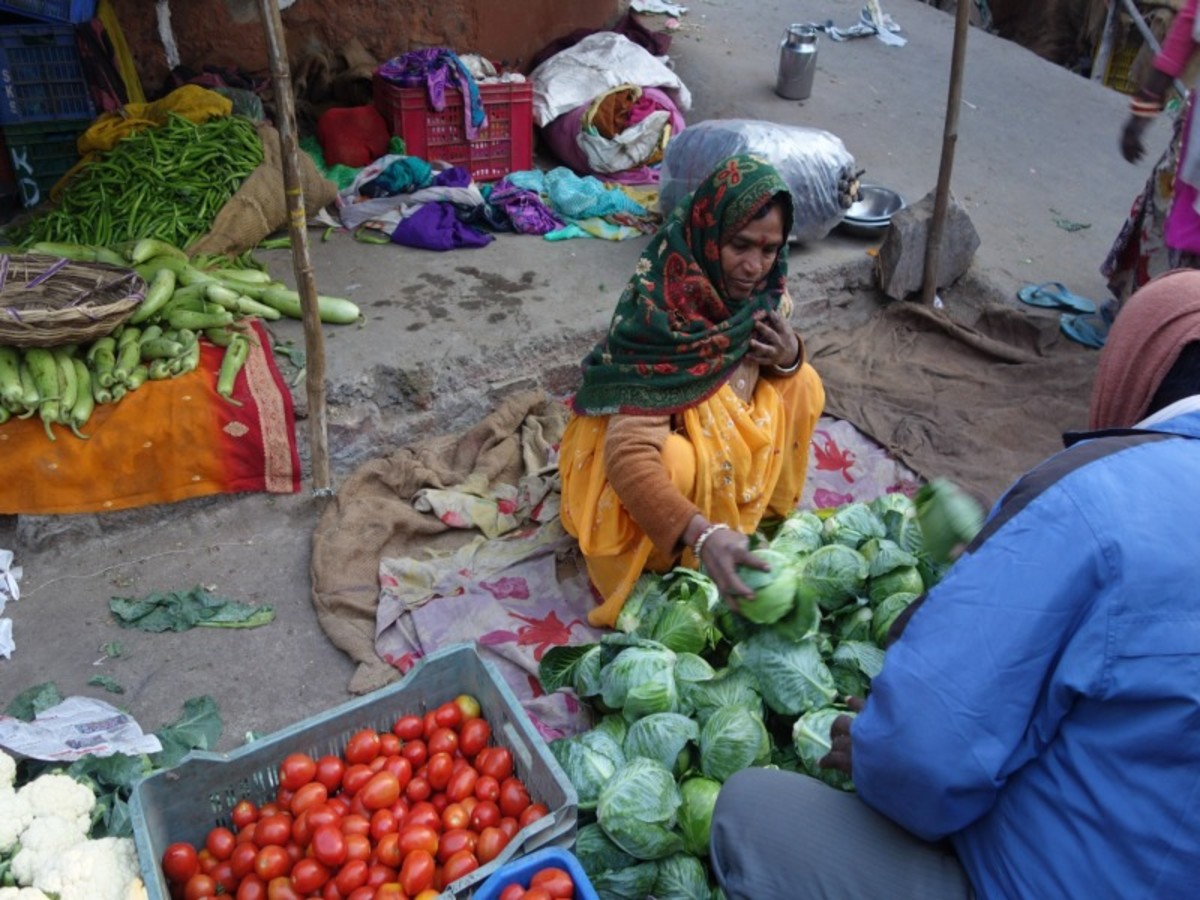 Immersion au Rajasthan - 9