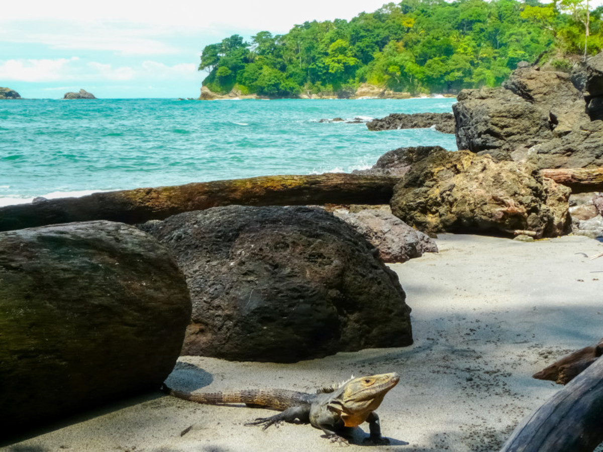 Balade en liberté - Merveilles essentielles du Costa Rica - 8
