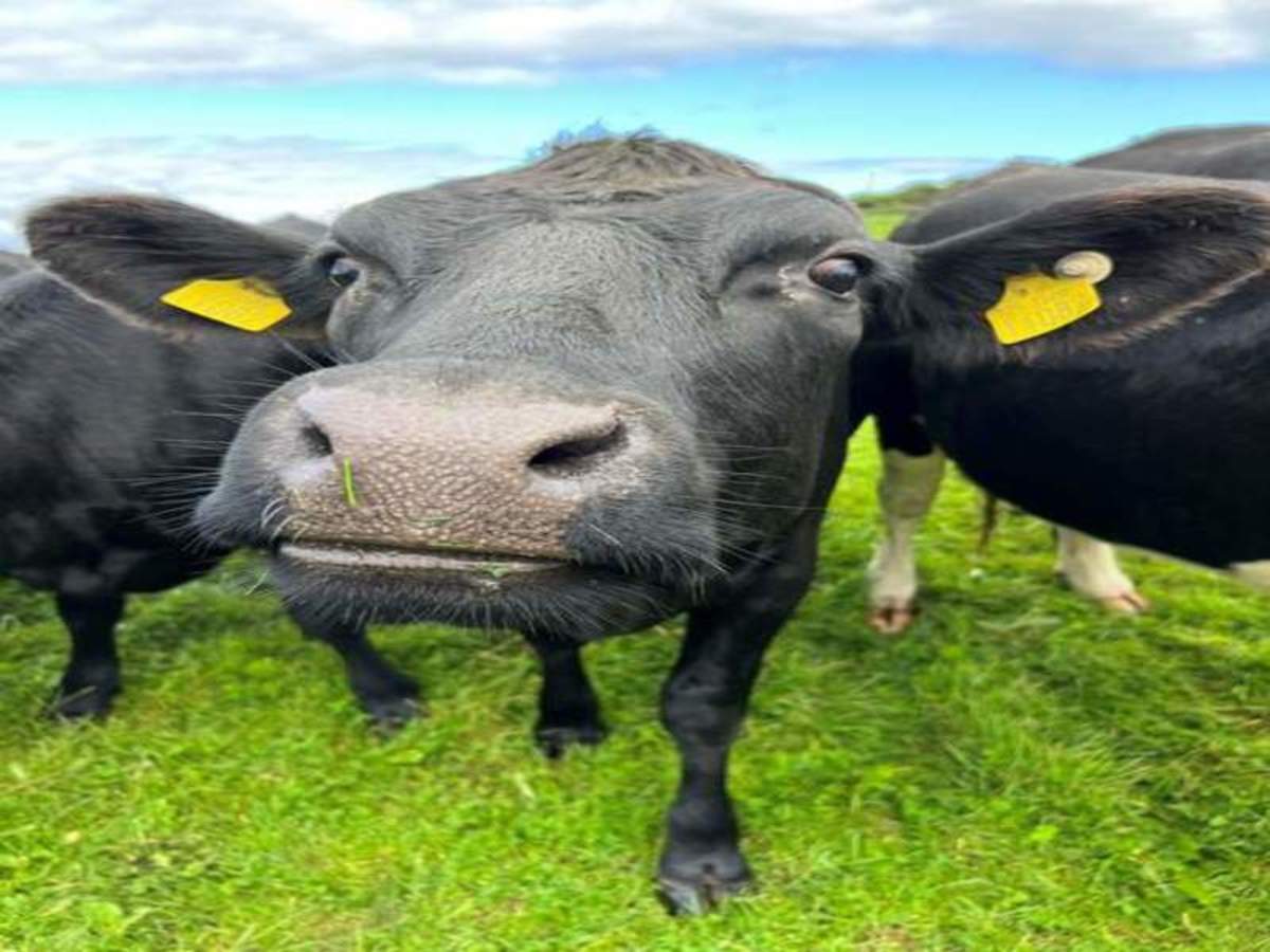 Autotour Route sauvage de l'Atlantique en 10 nuits - 7