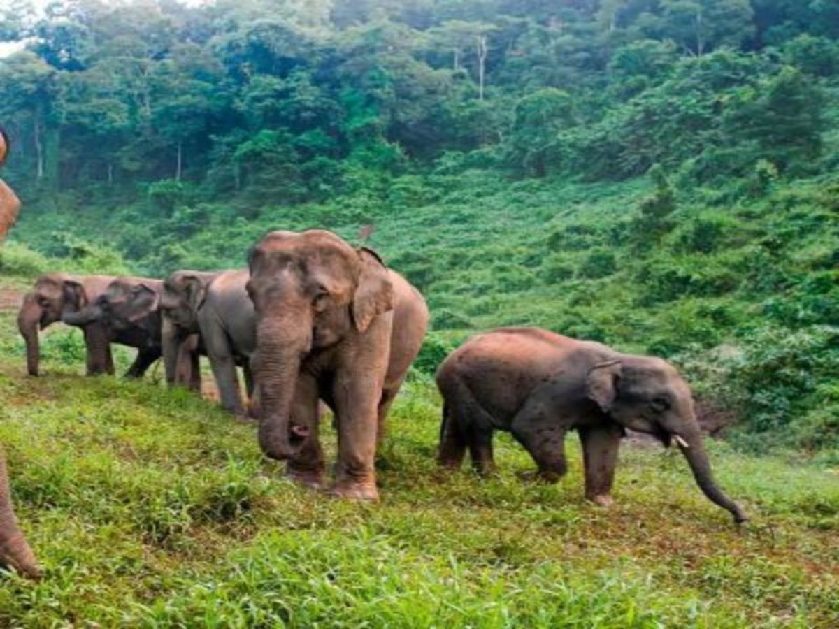 Classiques de Thaïlande - 7 nuits - 7