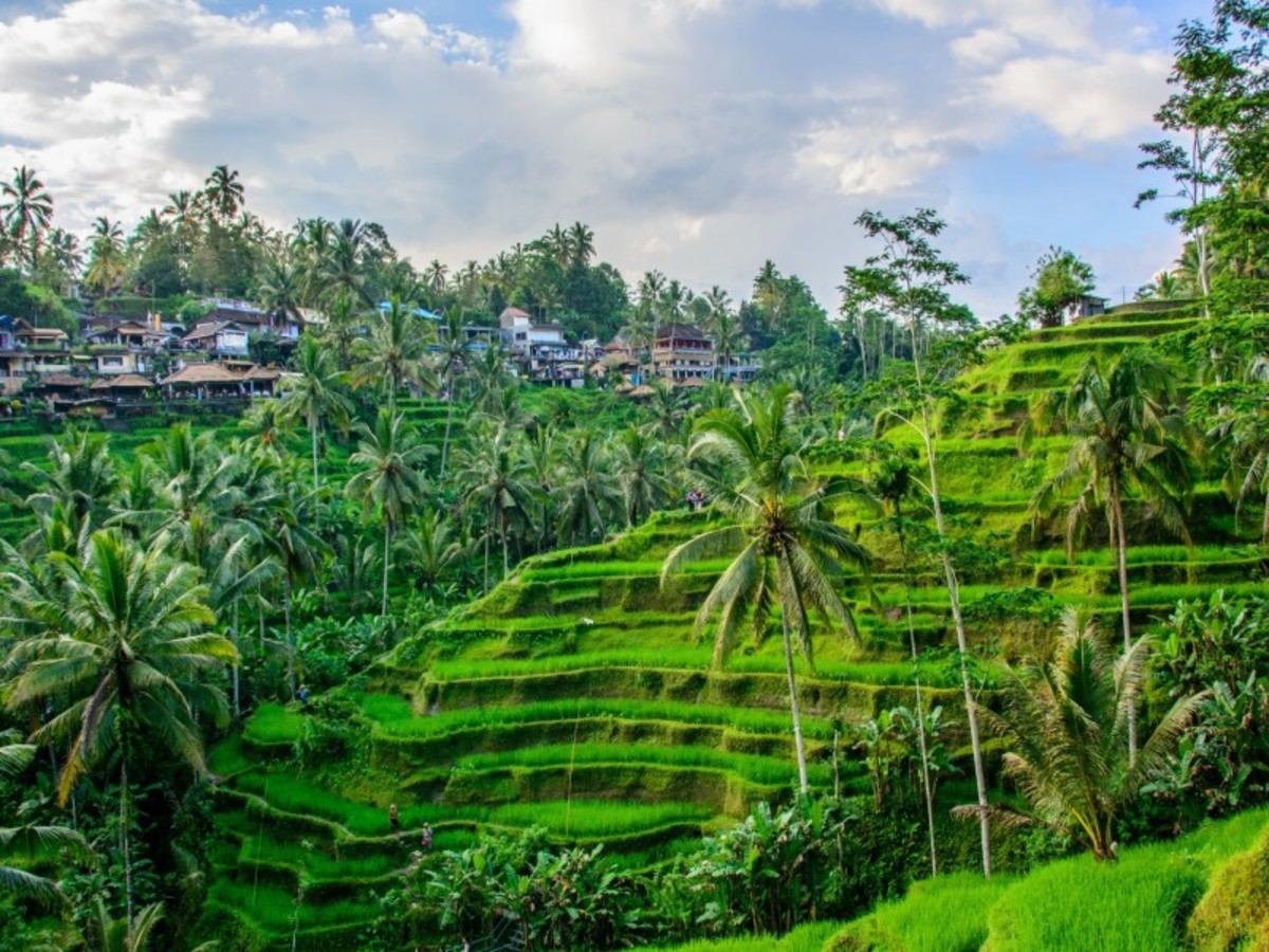 Séjour Circuit en liberté Trio Khayana Suites Ubud / Royal Regantris ...
