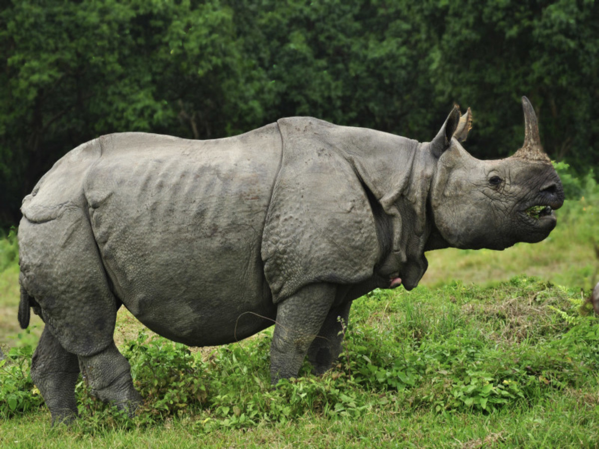 Immersion au Népal - 7