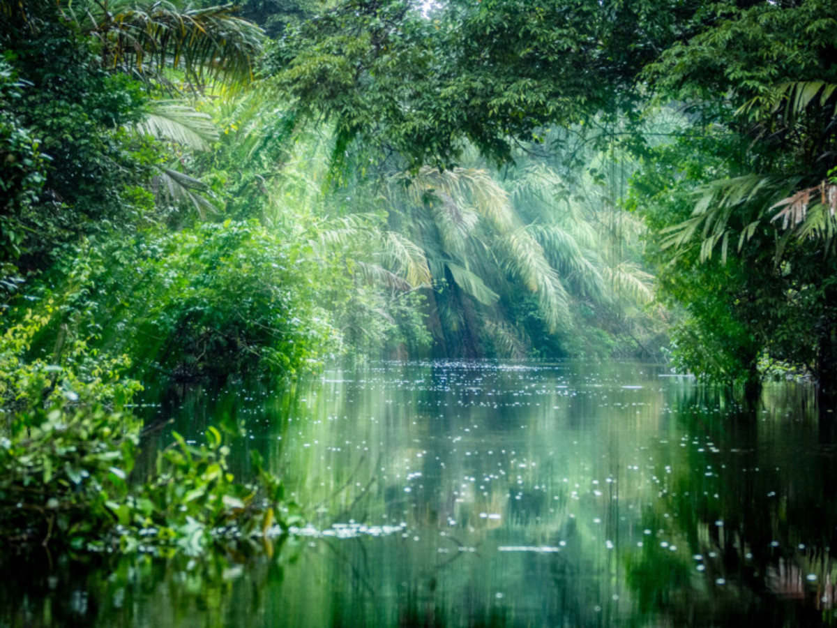 Balade en liberté - Merveilles essentielles du Costa Rica - 3